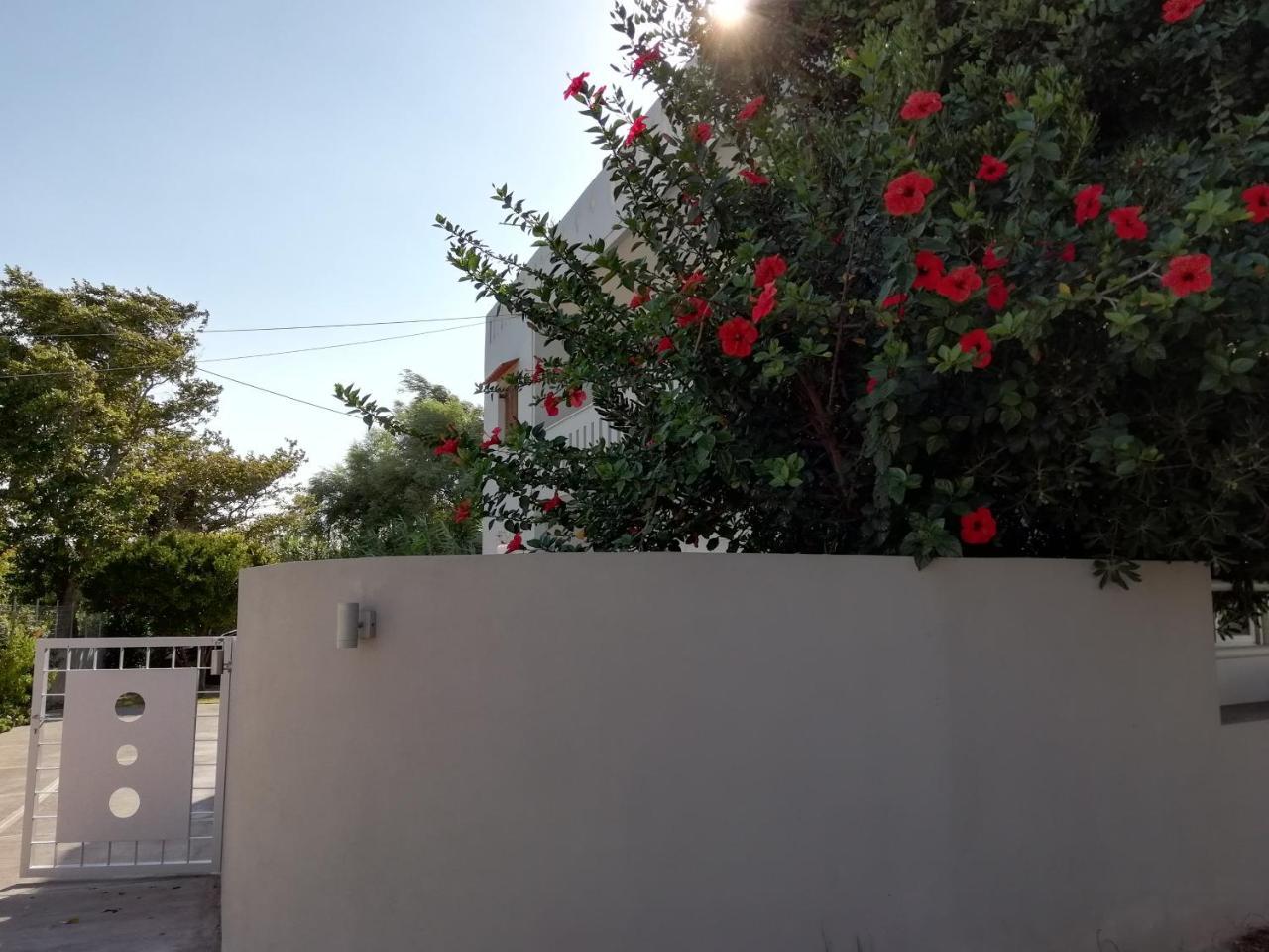 Dimitris' & Valentina'S Home Plakias Exterior foto