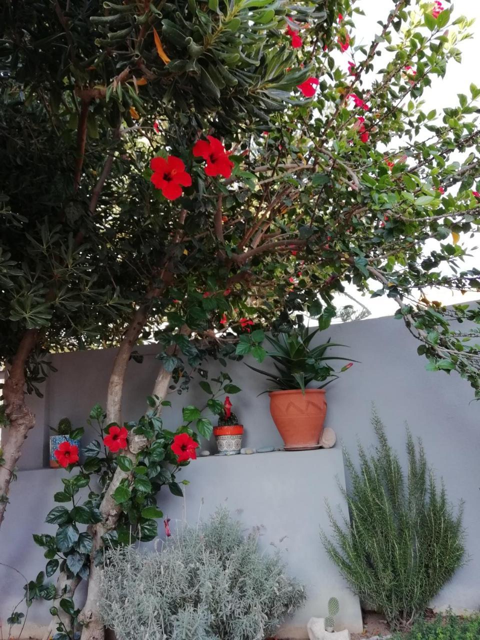 Dimitris' & Valentina'S Home Plakias Exterior foto
